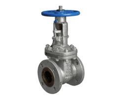 Stainless Steel 304 Gate Valves